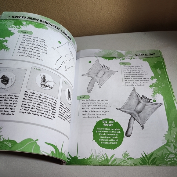 How To Draw Lot Of 5 Assorted Books -Cartooning, Airplanes, Horses & Animals - Picture 9 of 11